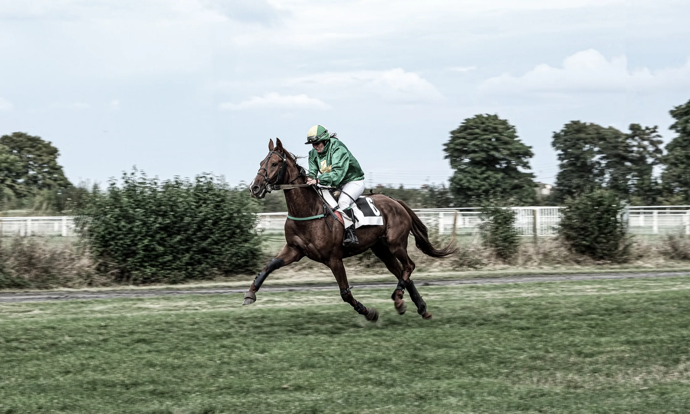Course hippique