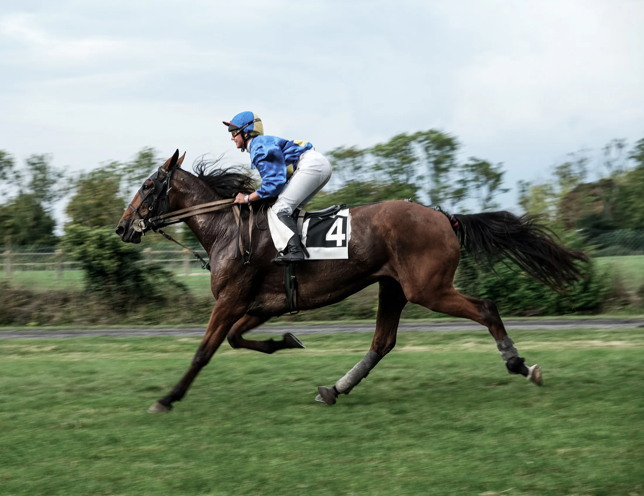 Retouche photo hippodrome