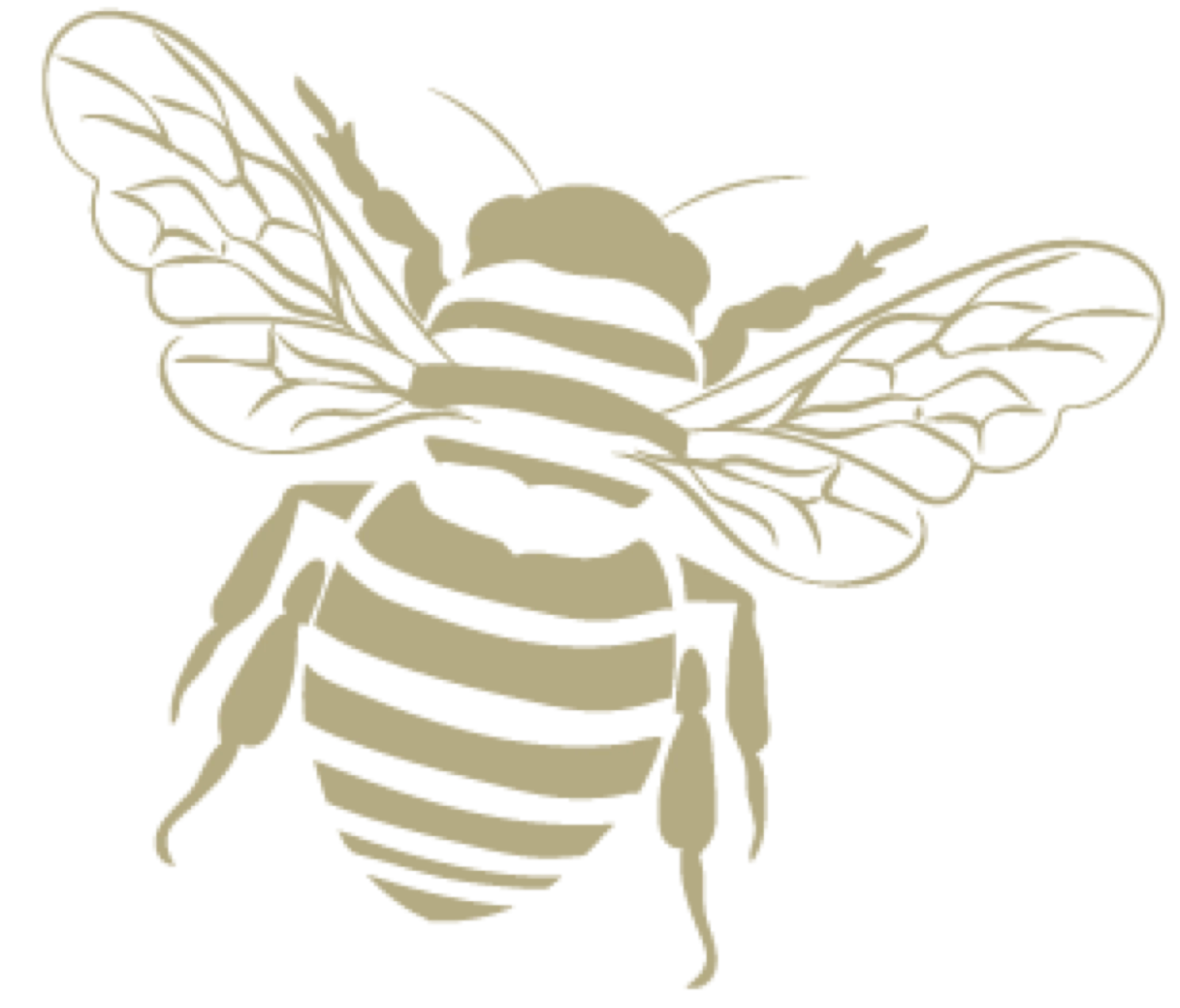 Illustration abeille